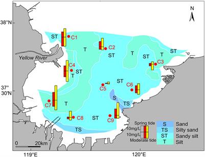 The spatio-temporal distribution and transport of suspended sediment in Laizhou Bay: Insights from hydrological and sedimentological investigations